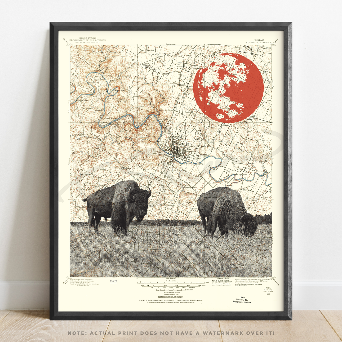TX | Austin Buffalo | Austin, Texas | Inkjet Print