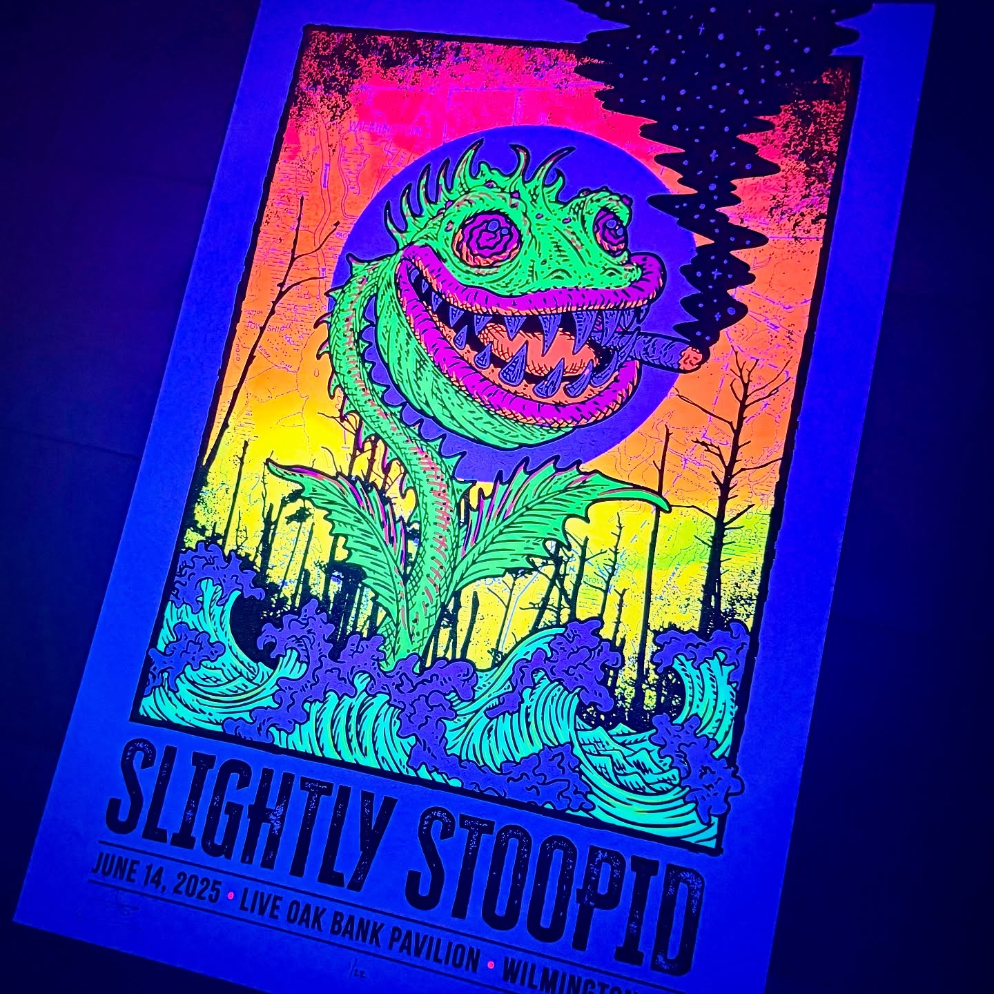 Slightly Stoopid | Wilmington 2025