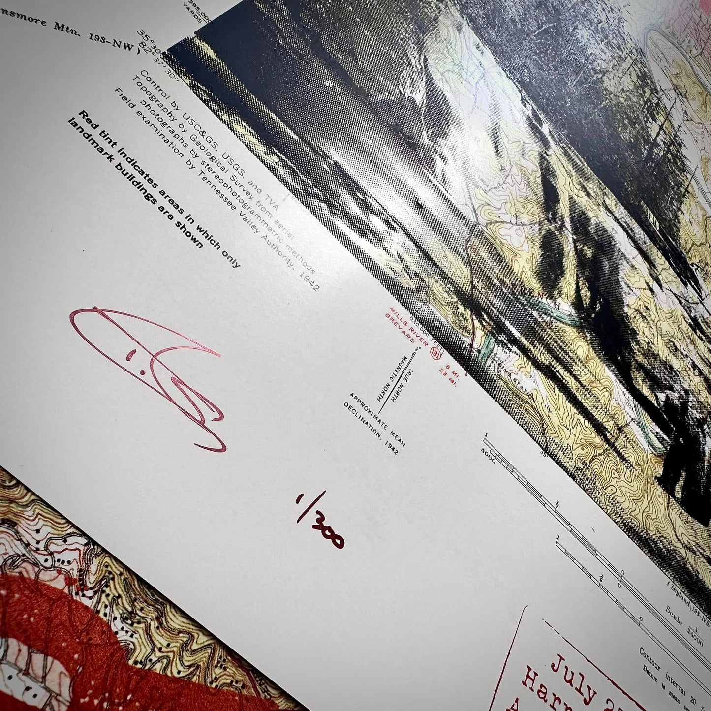 Widespread Panic | Asheville 2024