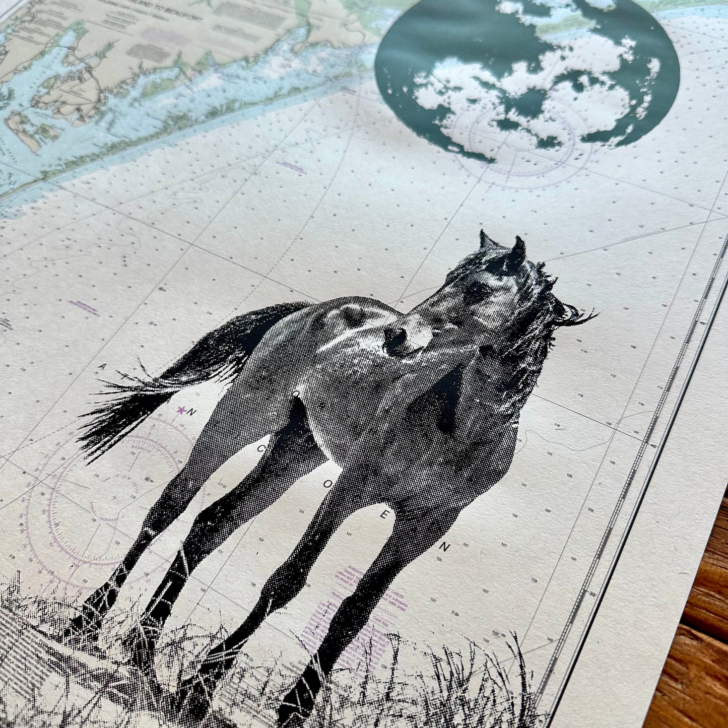 NC | Shackleford Bankks | Crystal Coast, North Carolina