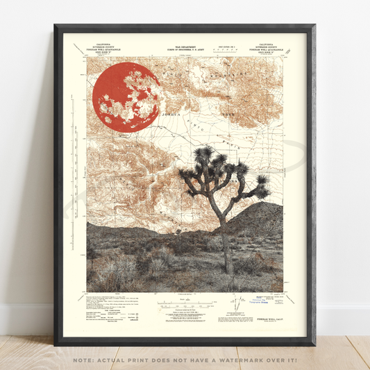 CA | Joshua Tree National Park | Joshua Tree, California | Inkjet Print