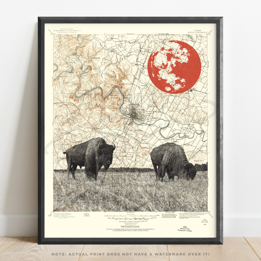 TX | Austin Buffalo | Austin, Texas | Inkjet Print