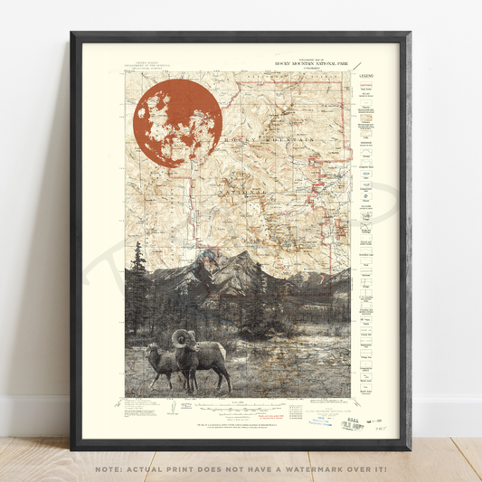 CO | Rocky Mountain National Park | Colorado | Inkjet Print