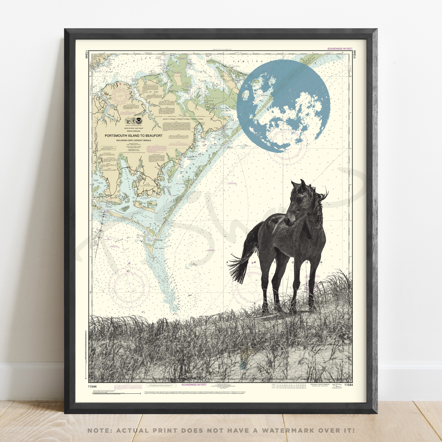 NC | Shackleford Banks Horse | Cape Lookout, North Carolina | Inkjet Print