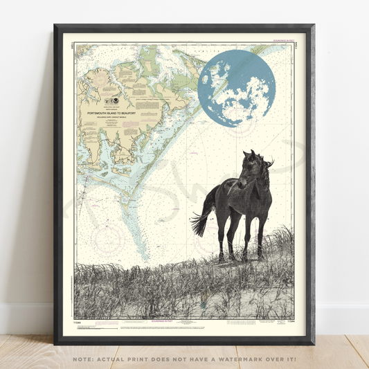 NC | Shackleford Banks Horse | Cape Lookout, North Carolina | Inkjet Print