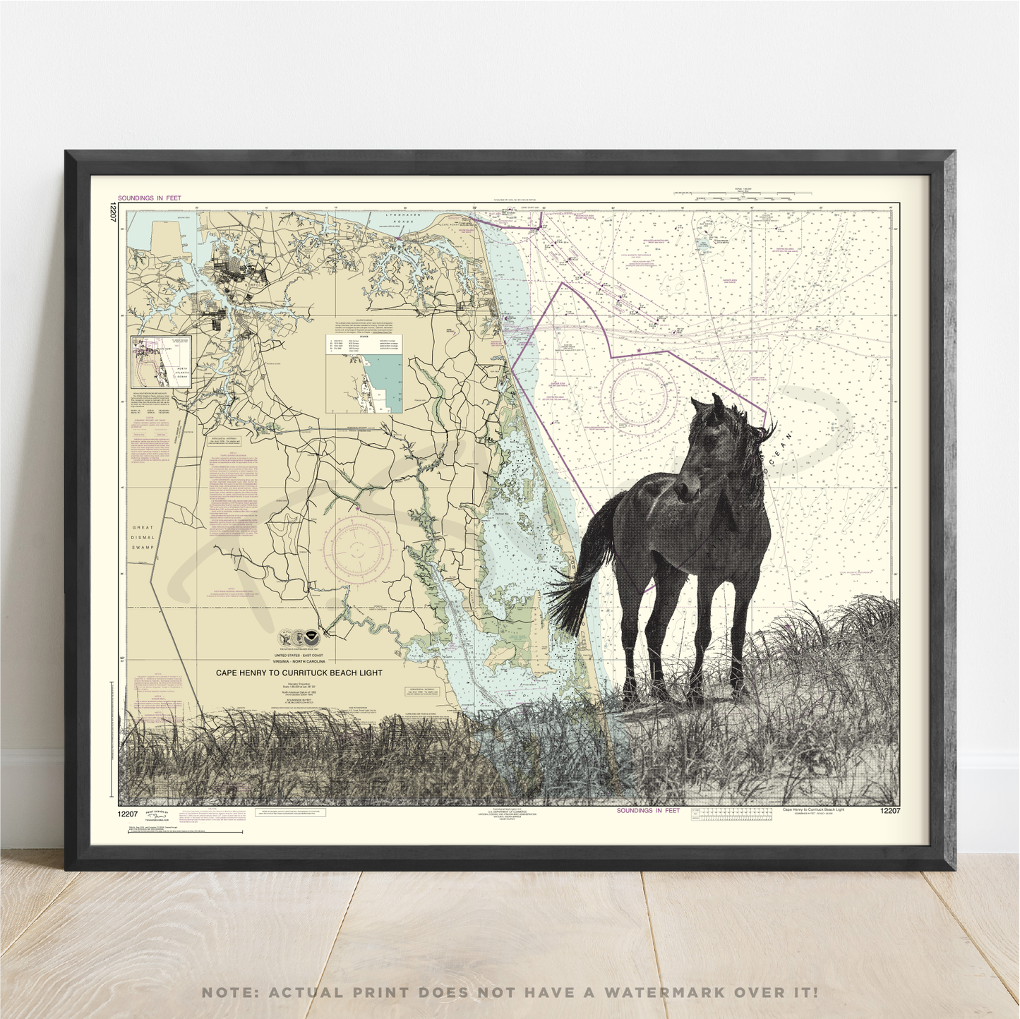NC | Wild Banker Horse | Outer Banks | Corolla, North Carolina | Inkjet Print