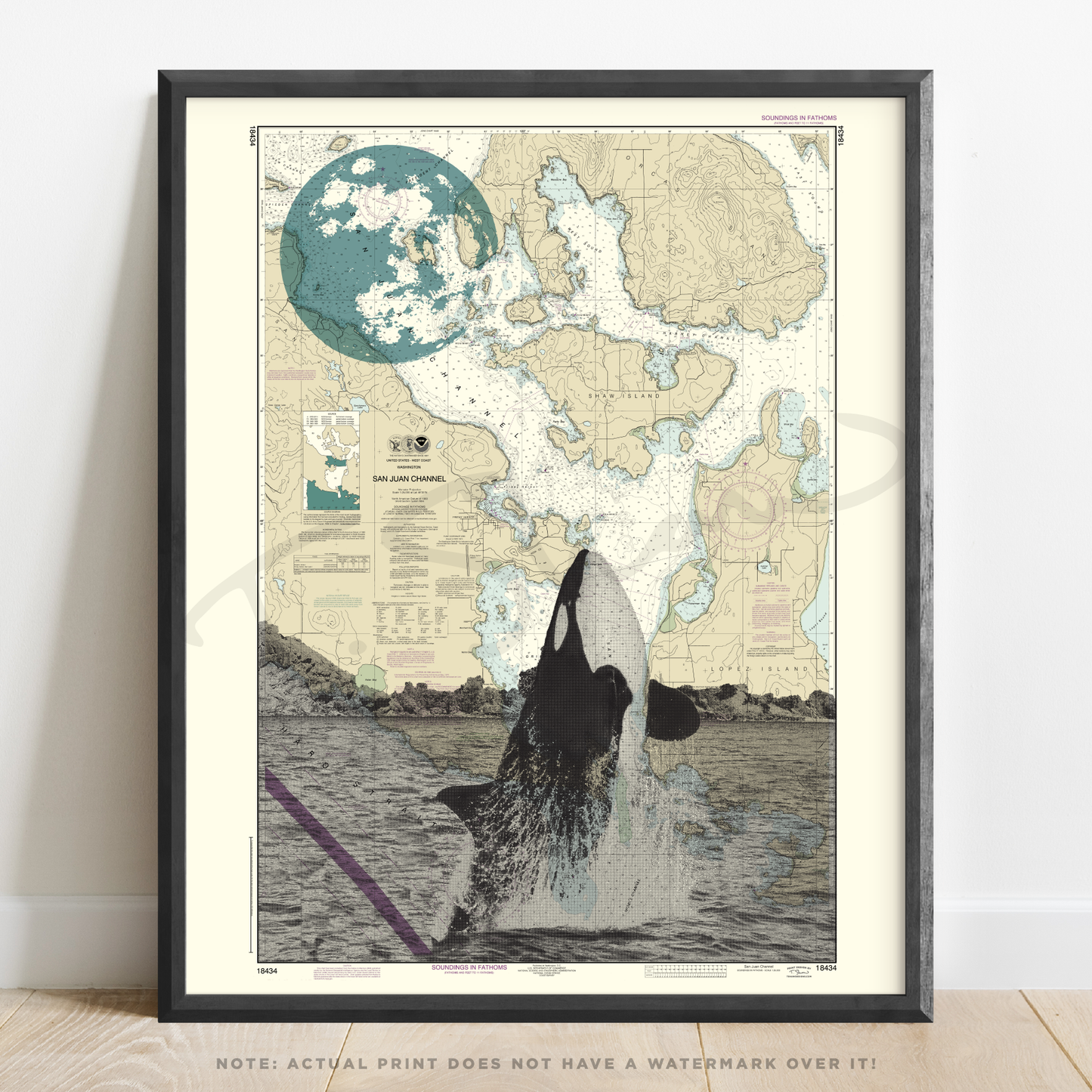 WA | Strait of San Juan Orca | San Juan Islands, Washington | Inkjet Print