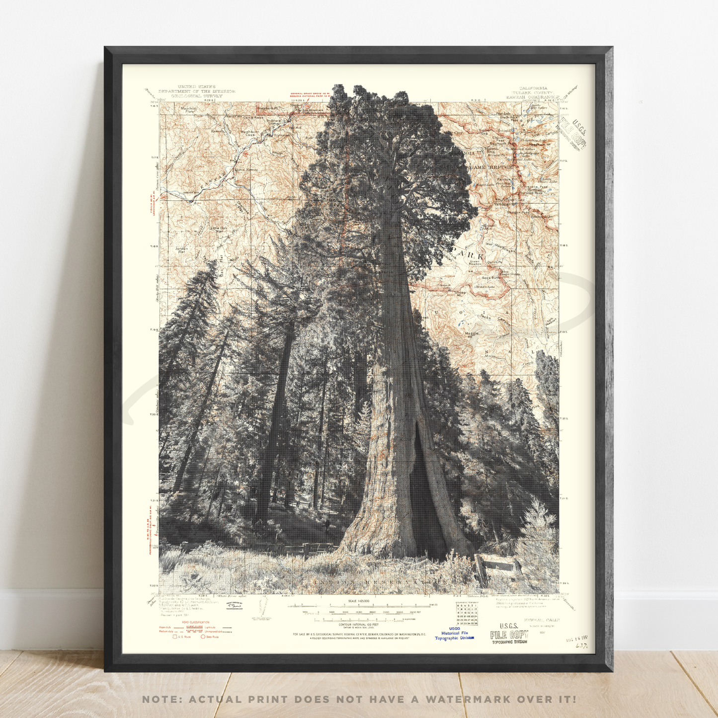 CA | Sequoia National Park | Three Rivers, California | Inkjet Print