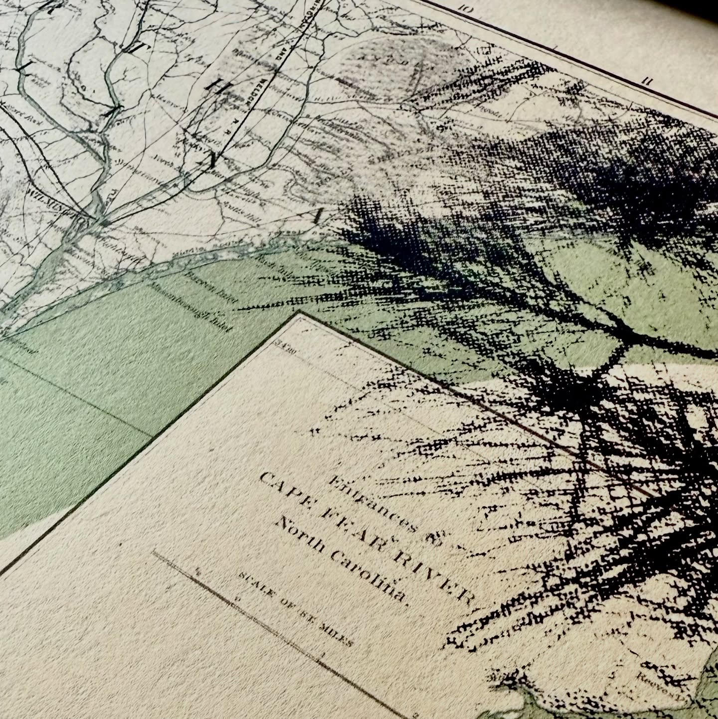 NC | "Coastal Serenity" | Cape Fear, North Carolina | Silkscreen