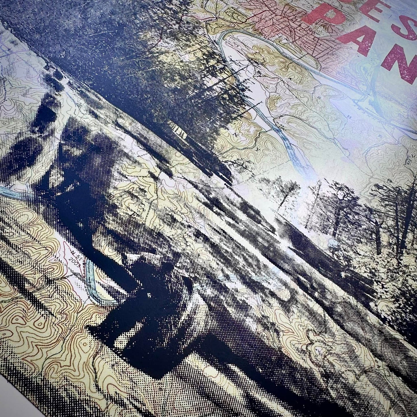 Widespread Panic | Asheville 2024