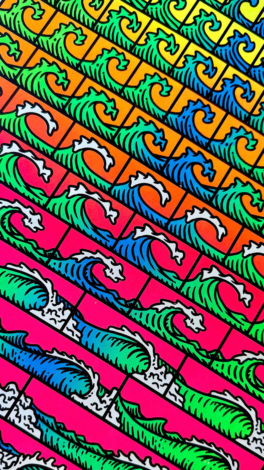 The Elovaters | Charleston 2025