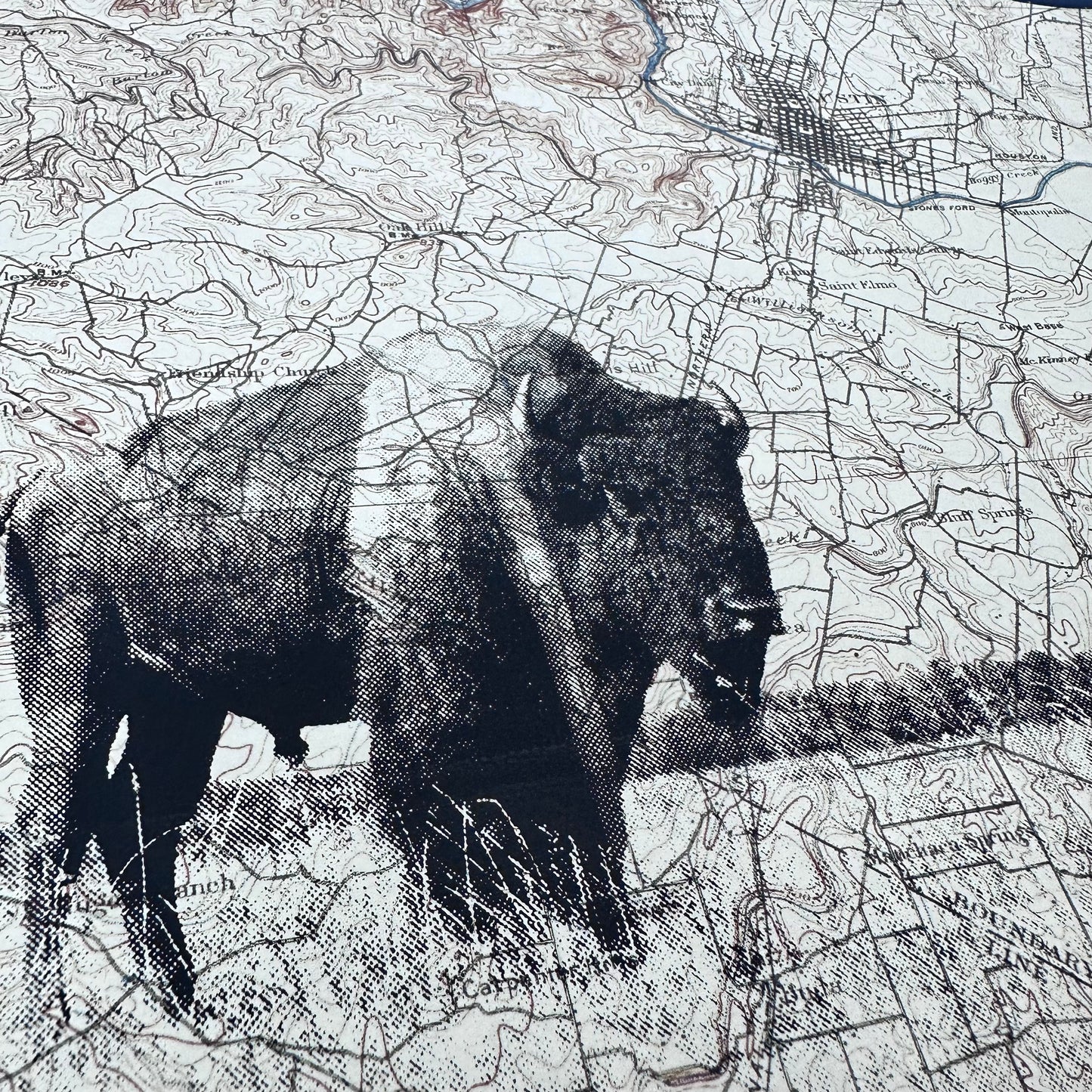 TX | Austin Buffalo | Austin, Texas | Silkscreen