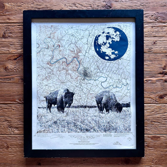 TX | Austin Buffalo | Austin, Texas | Silkscreen