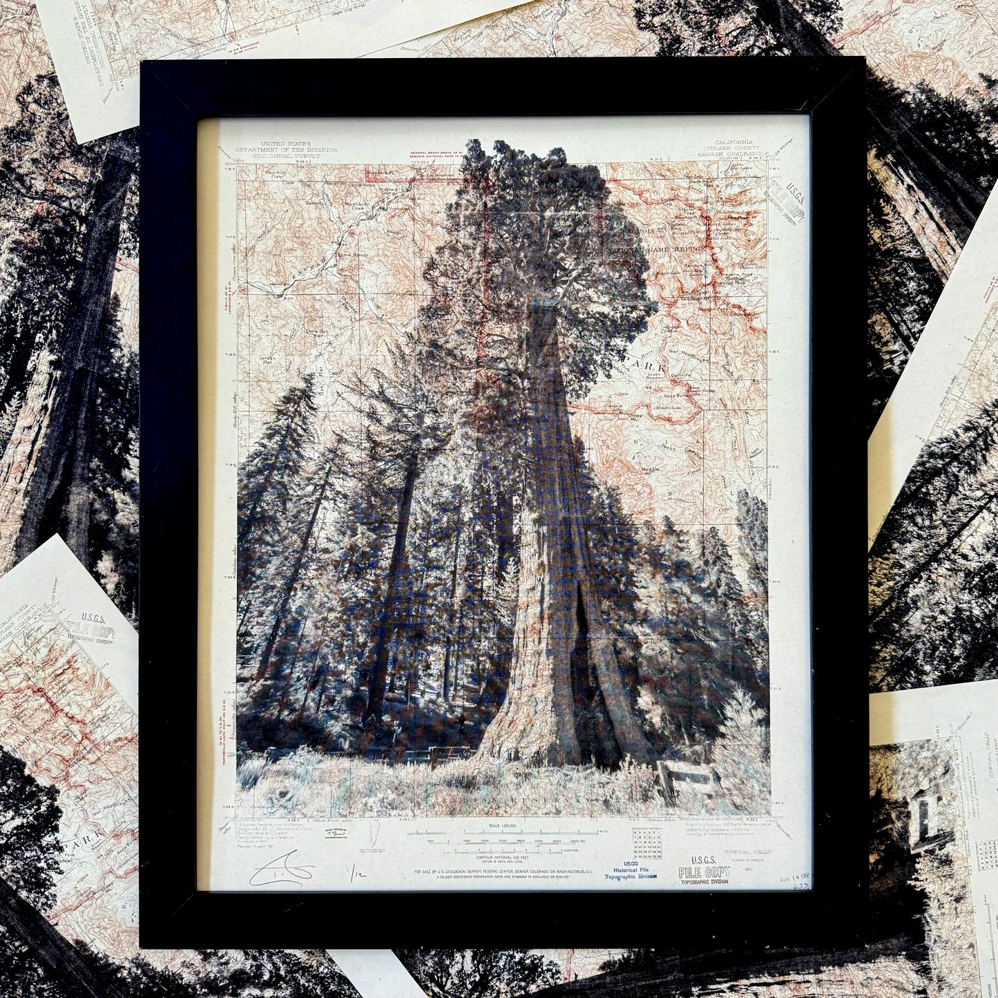 CA | Sequoia National Park | Three Rivers, California