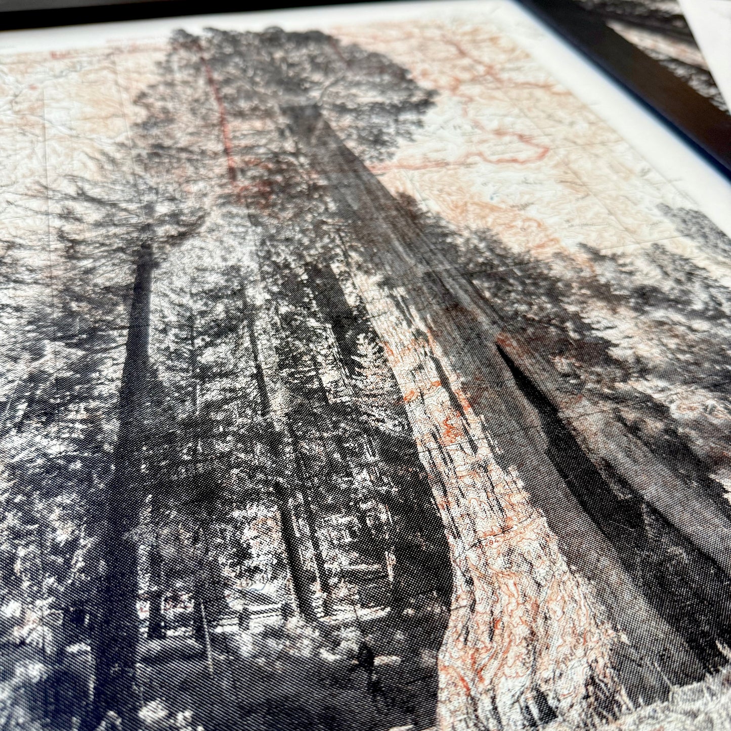 CA | Sequoia National Park | Three Rivers, California