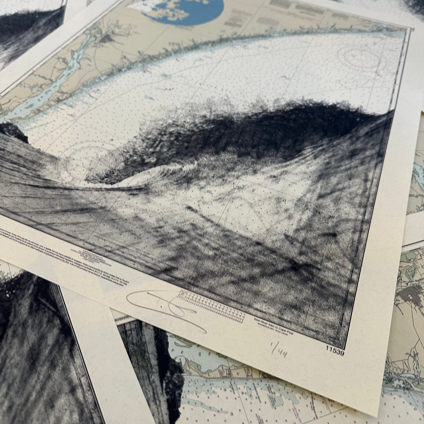 NC | Masonboro Island | Wilmington, North Carolina | Silkscreen