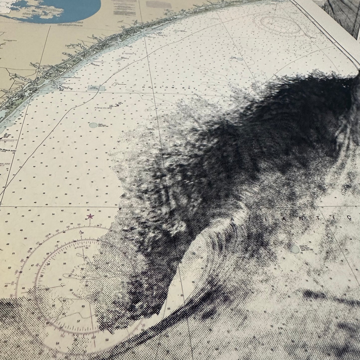 NC | Masonboro Island | Wilmington, North Carolina | Silkscreen