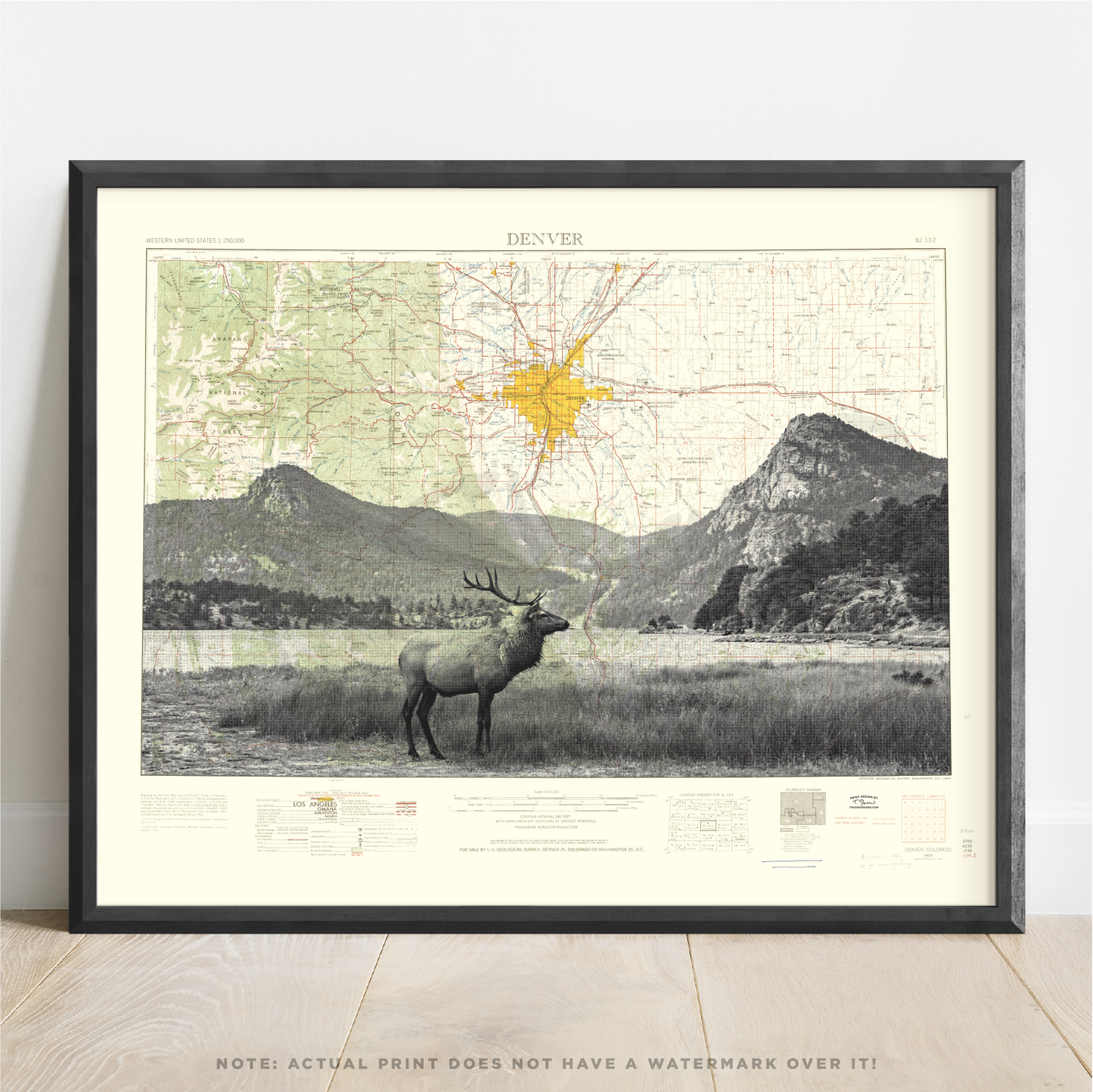 CO | Denver Elk | Denver, Colorado | Inkjet Print