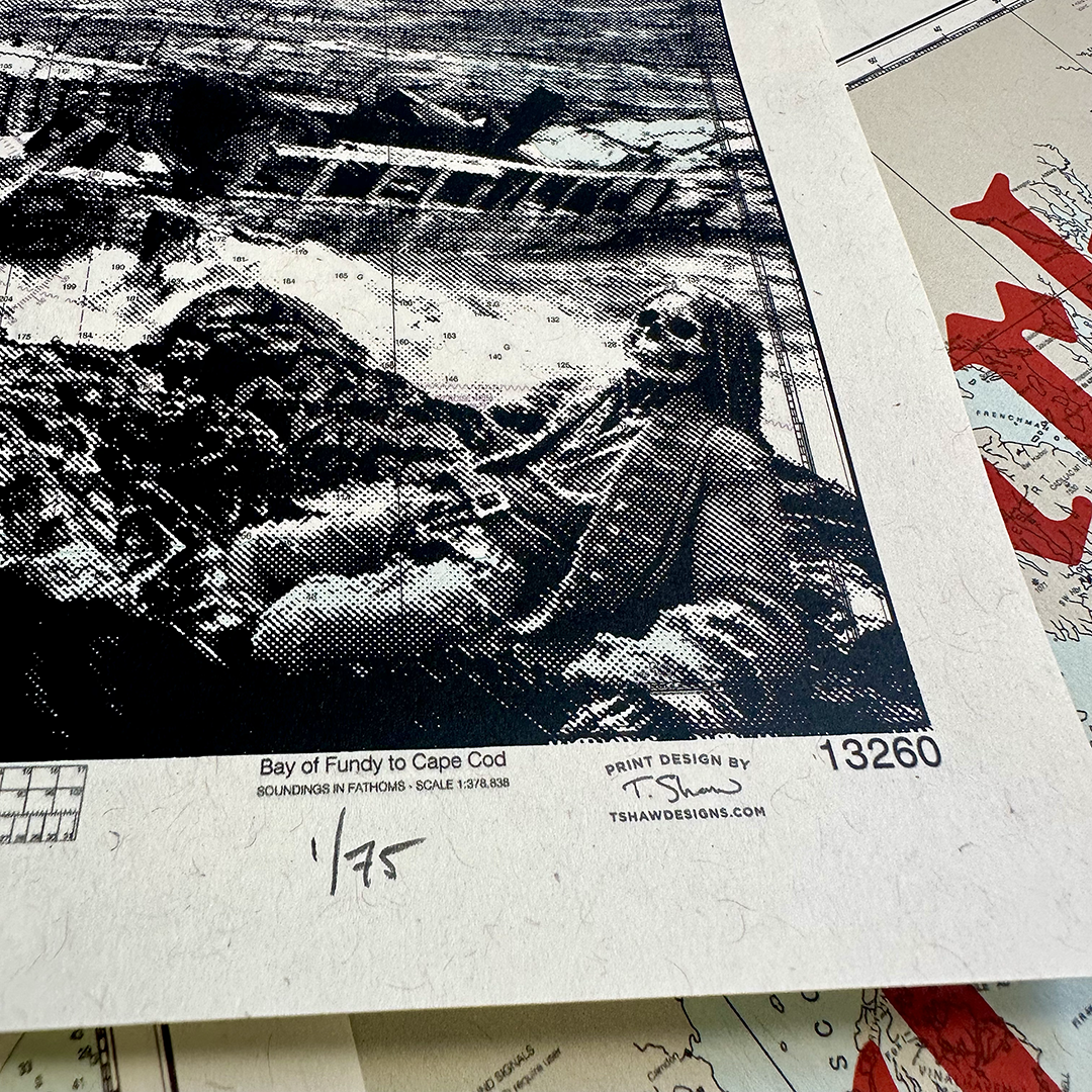 Dark Star Orchestra | Maine 2024