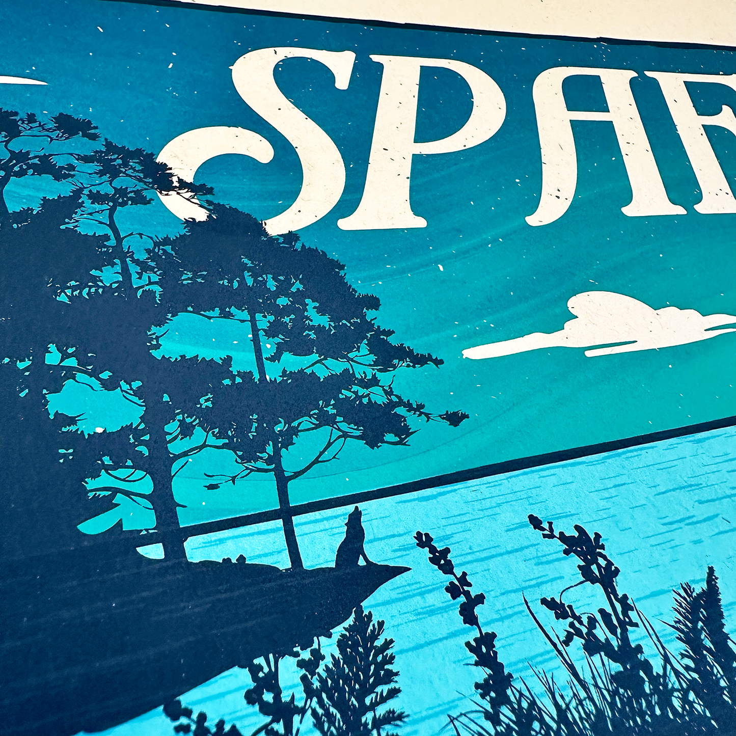 Spafford | NC / SC Fall 2024